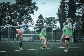 Bild 262 - C-Juniorinnen HSV - Walddoerfer : Ergebnis: 9:1